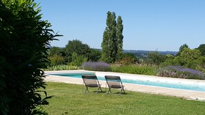 Ein Schwimmbecken mit zwei Liegestühlen, umgeben von üppiger Vegetation und blauem Himmel.