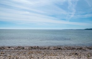 بالقرب من الشاطئ، صيد الأسماك