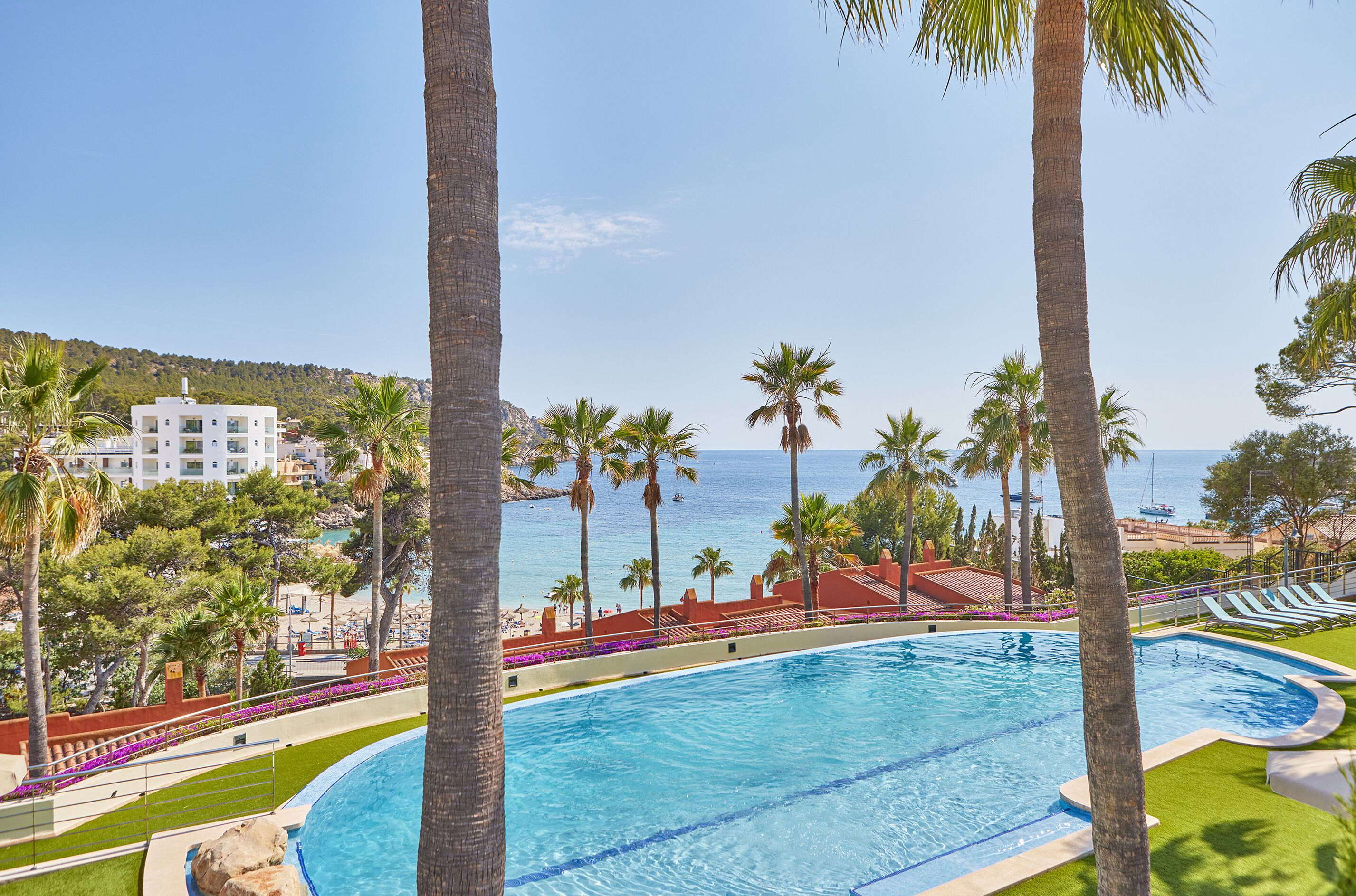 A swimming pool with palm trees and a view of the sea.
