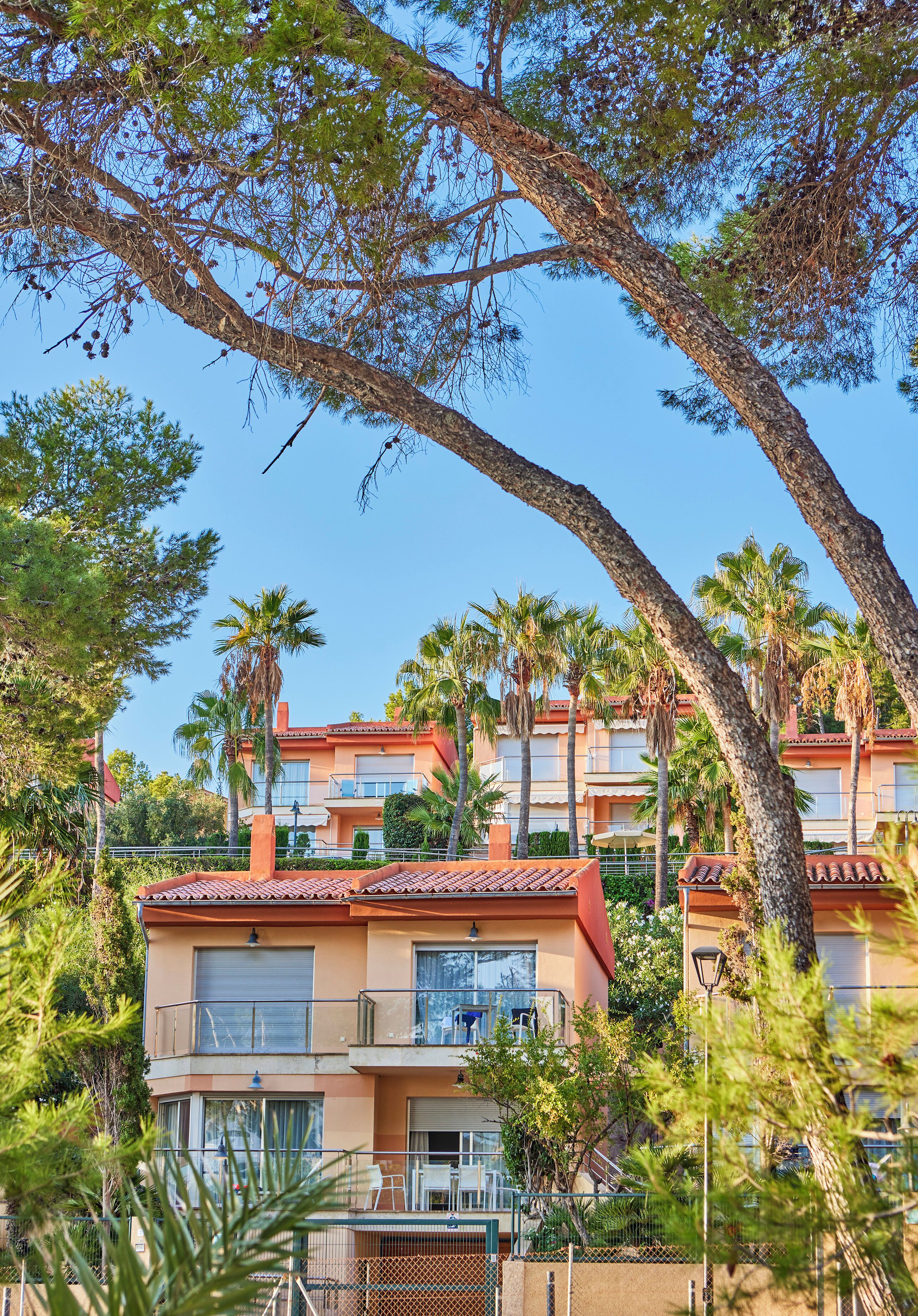 Un hôtel à plusieurs étages doté de balcons, entouré de palmiers et de pins.
