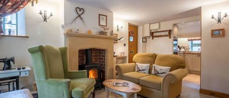 TV, fireplace, books