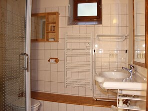 Shower, hair dryer