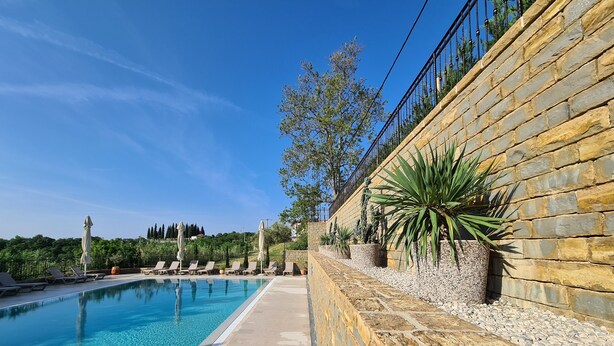 Une piscine bordée de chaises longues et de plantes en pot.