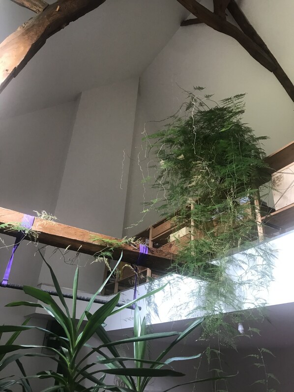 Interior - Quiet, spacious homes with Jacuzzi (Sceaux-du-Gâtinais)