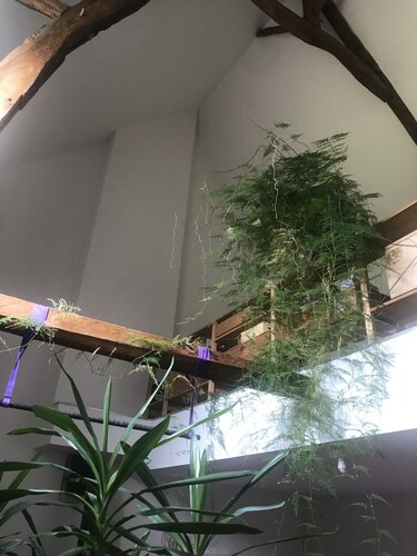 Quiet, spacious homes with Jacuzzi