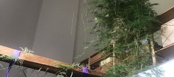 Quiet, spacious homes with Jacuzzi