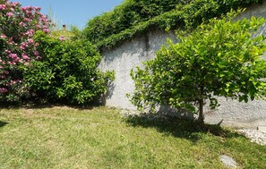 Àrea exterior de l'allotjament