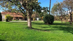 Escape to a serene outdoor oasis with a lush lawn and shaded trees.