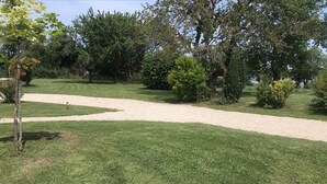 Un'area verde ben curata con un vialetto in ghiaia, circondata da diversi alberi e arbusti.