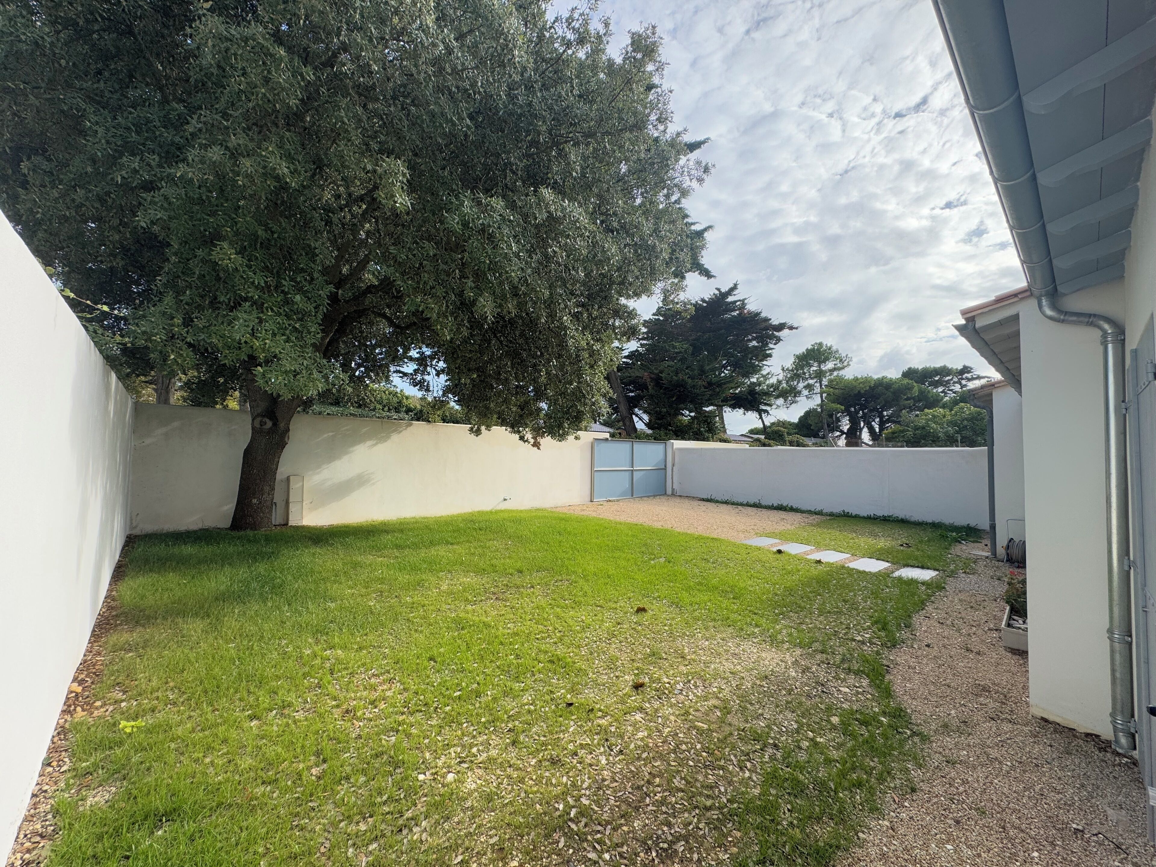 Un jardin avec un grand arbre, un mur blanc et un chemin de gravier.