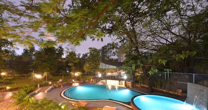 Arova Woods Zinc Journey by The Fern