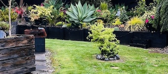 Suburbia East Auckland
