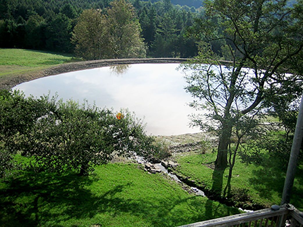 Un lac entouré de verdure, une terrasse en bois et un pont de pierre.