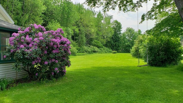 A house with a green window frame, a well-maintained lawn, and a large tree with purple flowers. - Hemlock - Quiet neighborhood, fire pit, large backyard, near All Star Village (Oneonta)