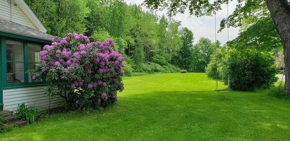 Property grounds - Hemlock - Quiet neighborhood, fire pit, large backyard, near All Star Village (Oneonta)