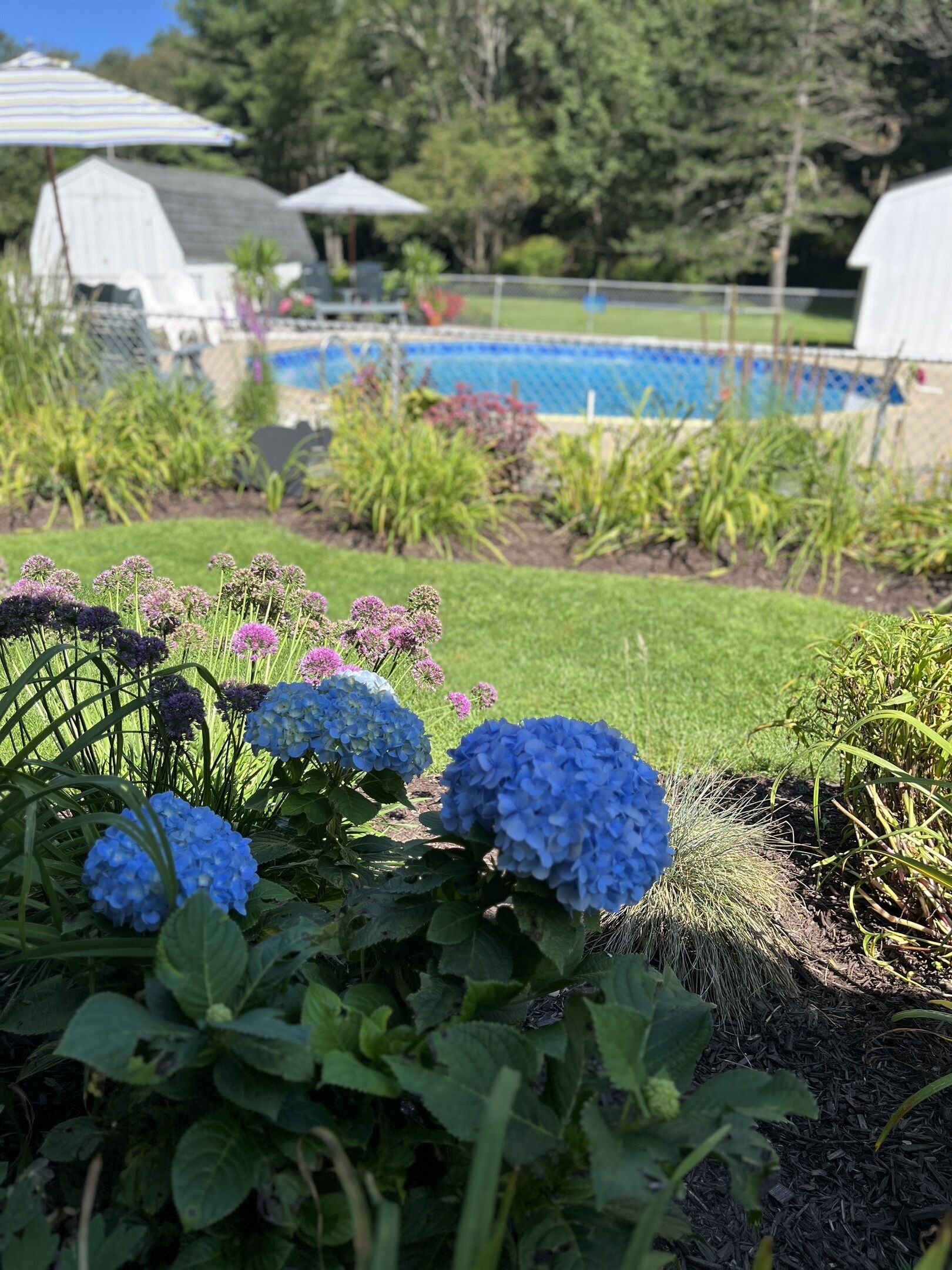 Un jardin agrémenté d’hortensias, une piscine et un bâtiment blanc doté d’un toit en pente.