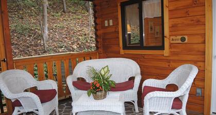 Terrace Lawn Cabin - Recently built cabin, 1/2 mile to Dreams Park, shared pool