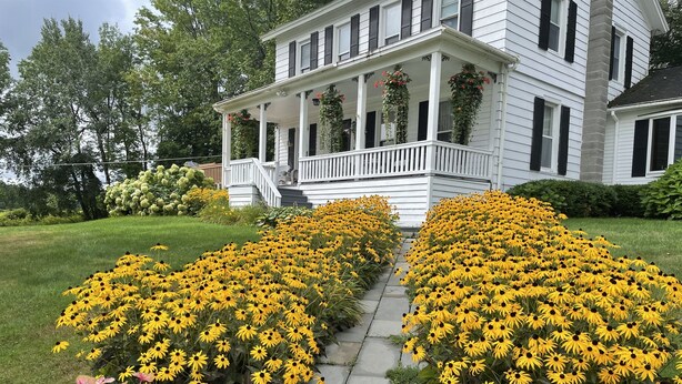 Una casa con porche y jardín lleno de flores amarillas.