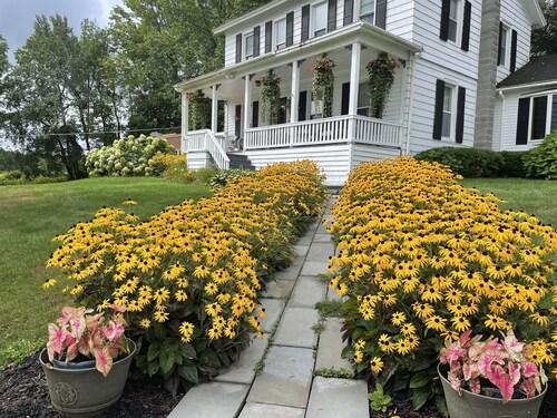 Tuscan Hills - Under 5 minutes to Dreams Park, renovated, 3 bedroom, 3 bath