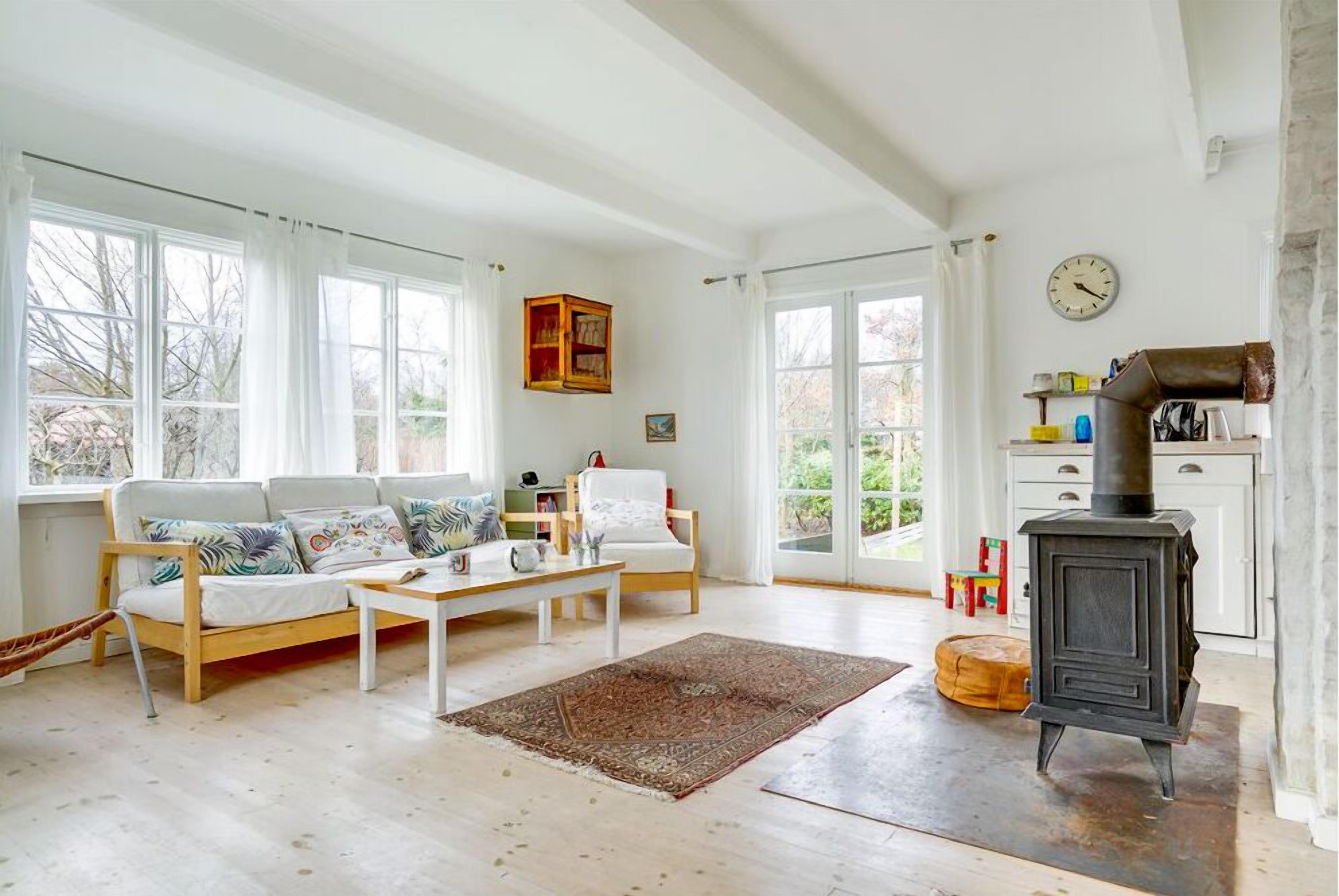 Smart-tv, pejs, videospil, bøger