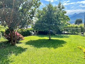 Un jardin luxuriant, verdoyant, avec des arbres et un ciel dégagé.