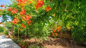 En trädgård med en stenlagd gångväg, olika växter och ett träd med orange blommor.