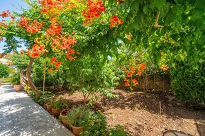 Property grounds - Apartment "Captain Spiros Casa Bella Trio" with Mountain View & Wi-Fi (Paxos)