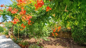 Un jardín con un sendero empedrado, diversas plantas y un árbol con flores naranjas.