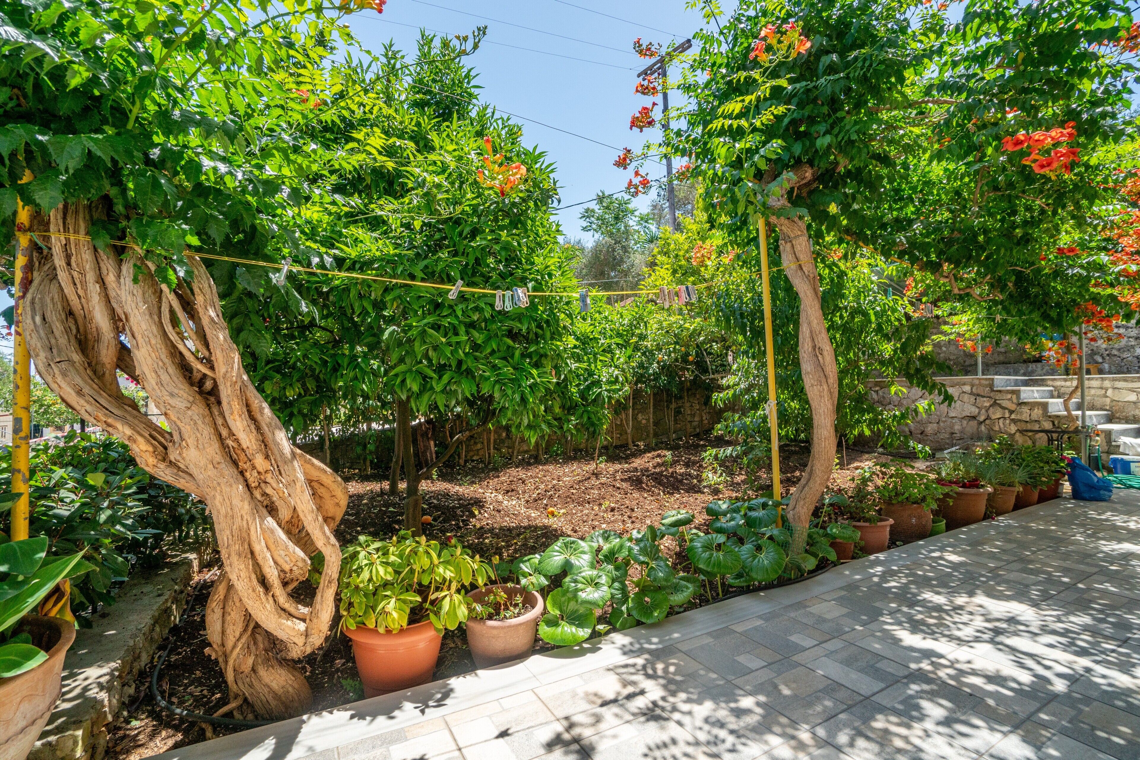 Terrein van de accommodatie