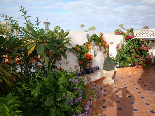 A courtyard with potted plants, a white wall, and a tiled floor.