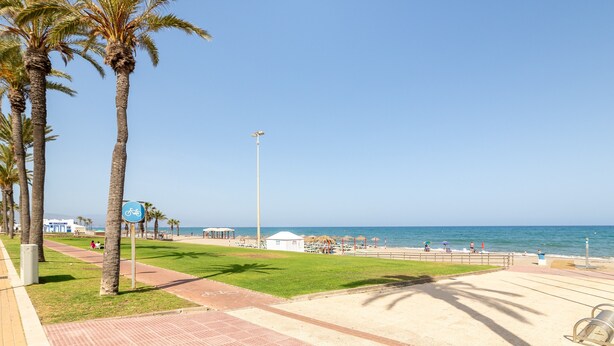 Un passeig marítim amb palmeres, cel clar i vista al mar.