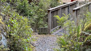 A rustic cabin with a wooden exterior and a red door, surrounded by dense forest and a gravel path leading to it. - Eagle's Nest Suite-Inlet, Forest Views, Marina (Tofino)