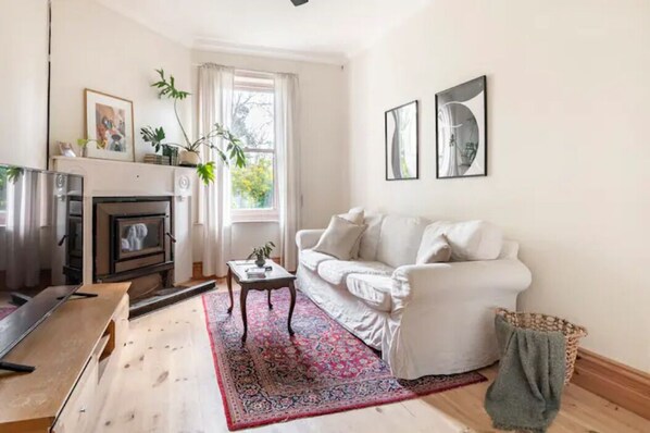 Smart TV, fireplace, books