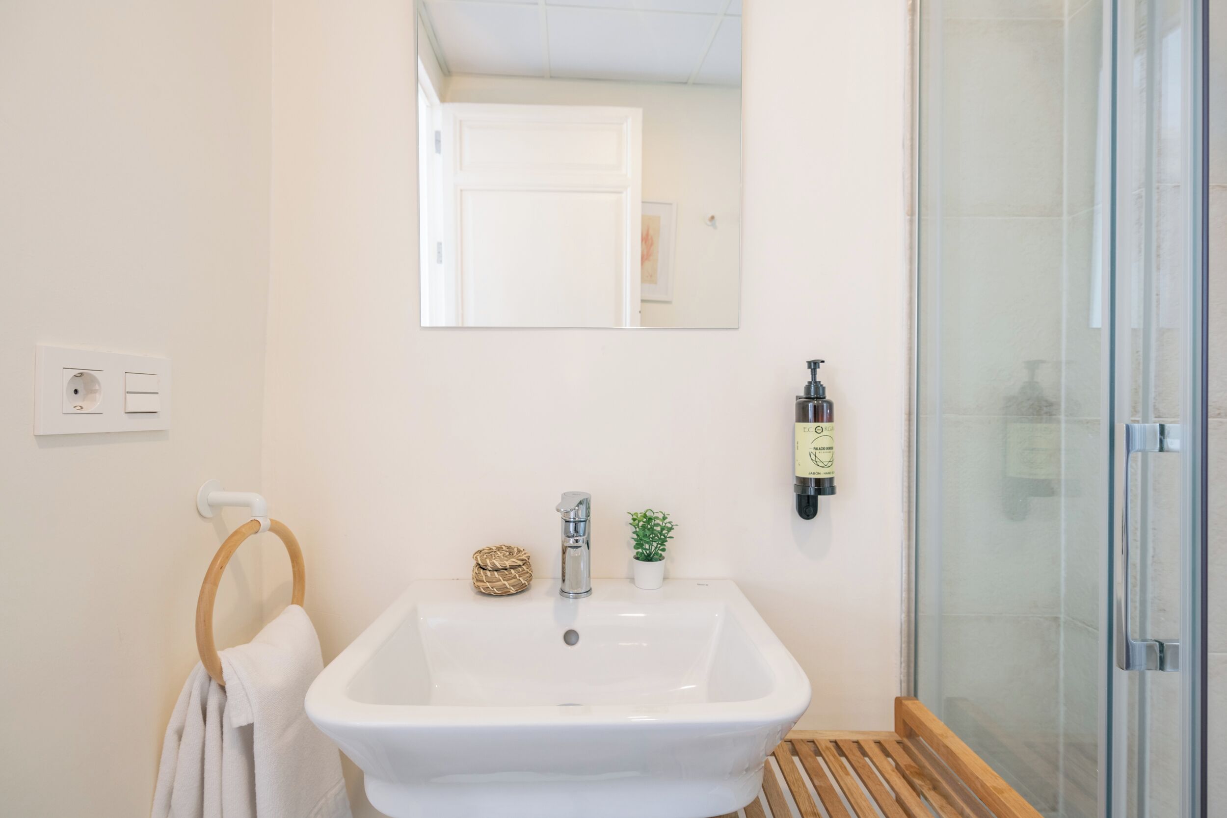 A bathroom with a white sink, a wooden towel ring, a small potted plant, and a glass shower enclosure.