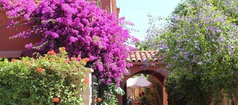 EL ARBOL HOSTEL