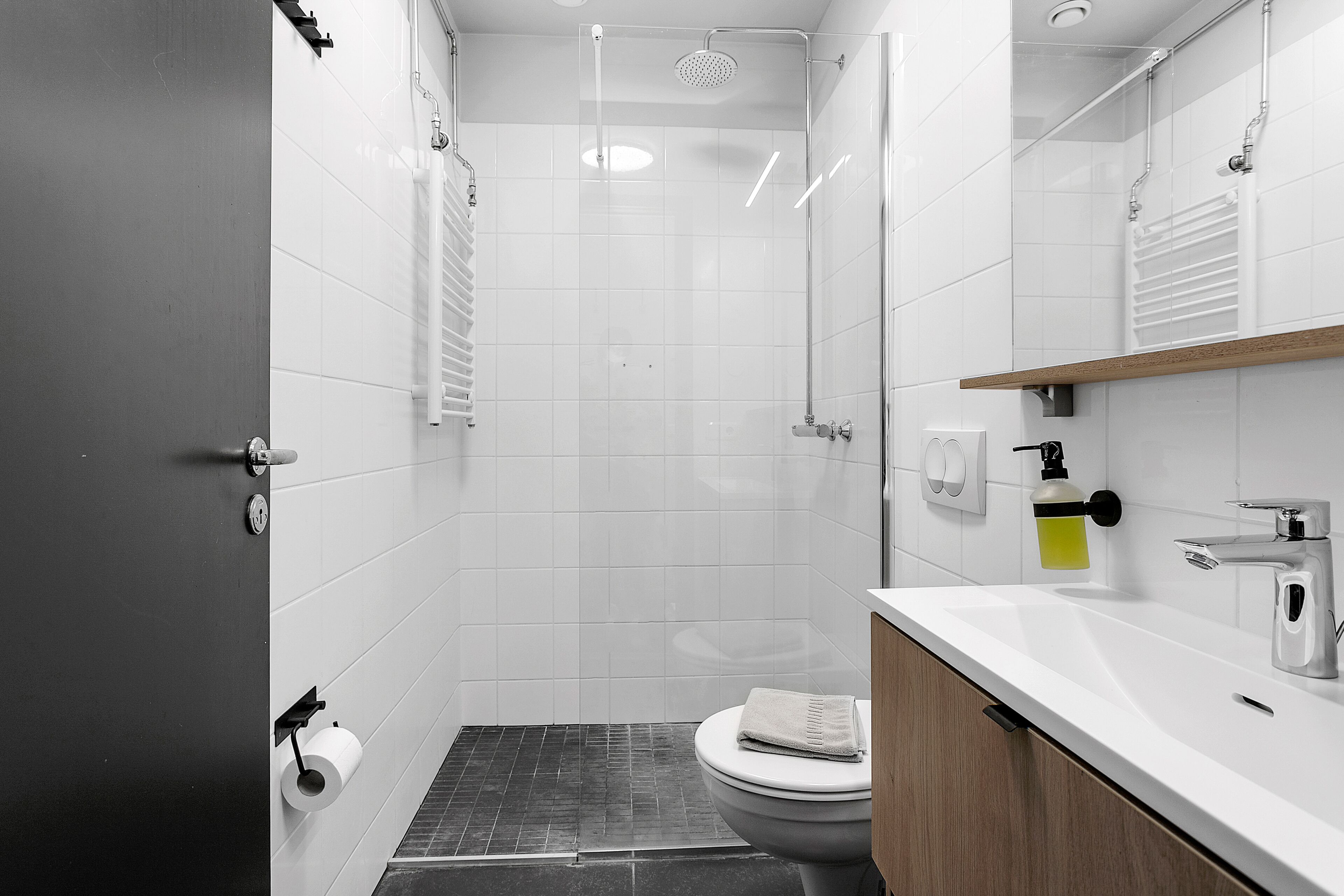 standard studio | bathroom | shower, hair dryer, towels
