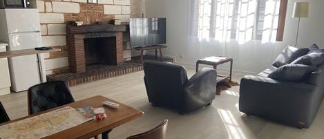 TV, fireplace, books