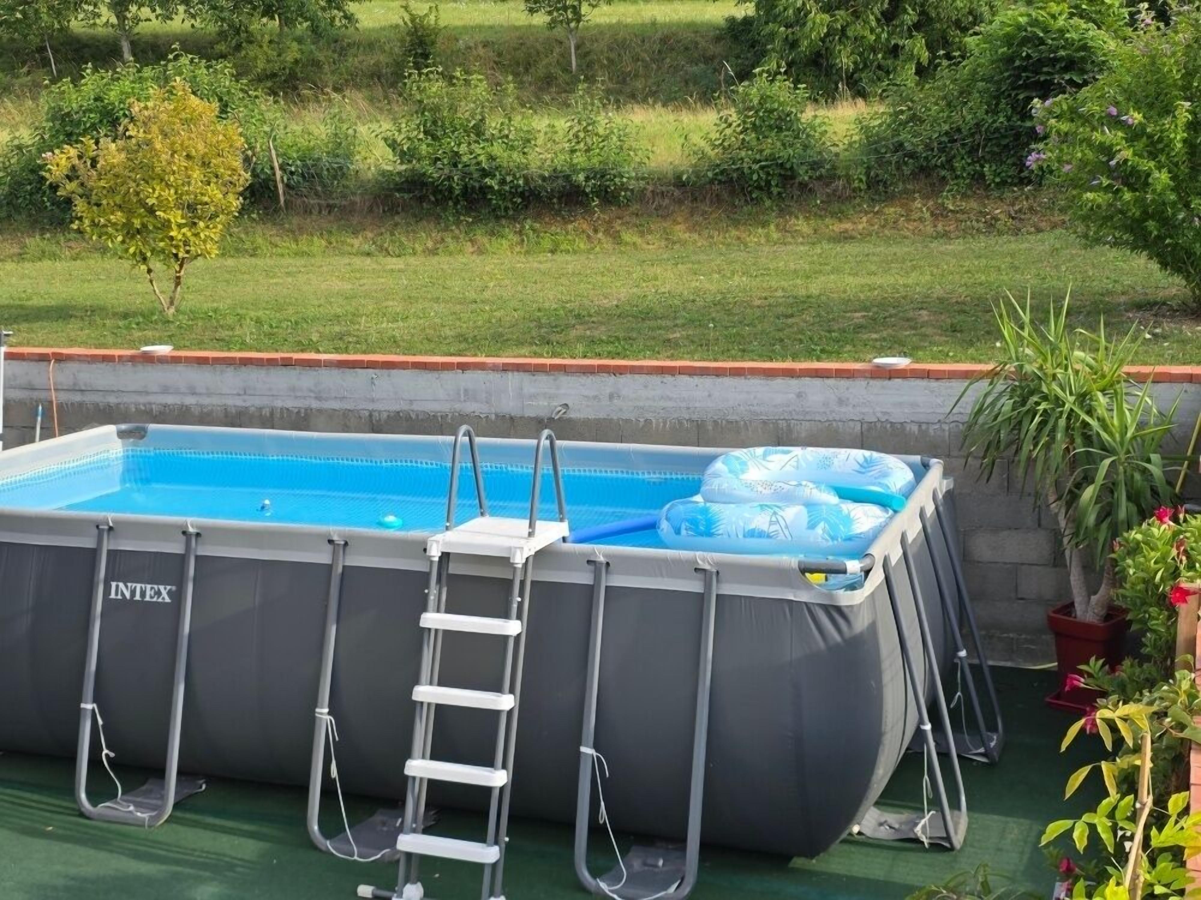 Une piscine gonflable avec une échelle, entourée d’un jardin où poussent différentes plantes, et un espace herbeux en arrière-plan.
