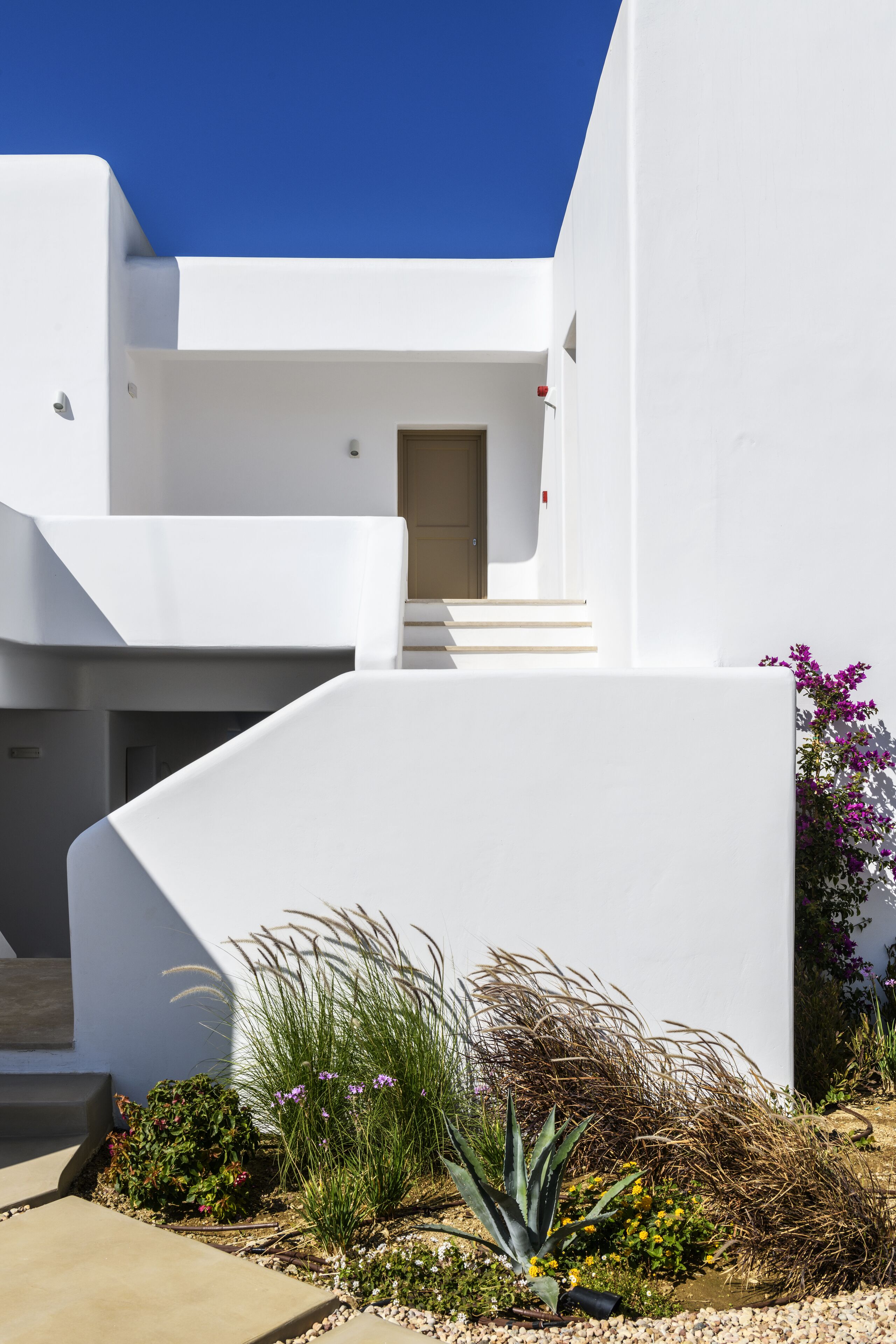 Um edifício moderno e branco com uma escadaria que leva a uma porta, cercado por um jardim com diversas plantas e flores.