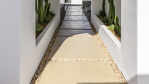 Un sendero flanqueado por cactus, con paredes blancas y techo de madera.