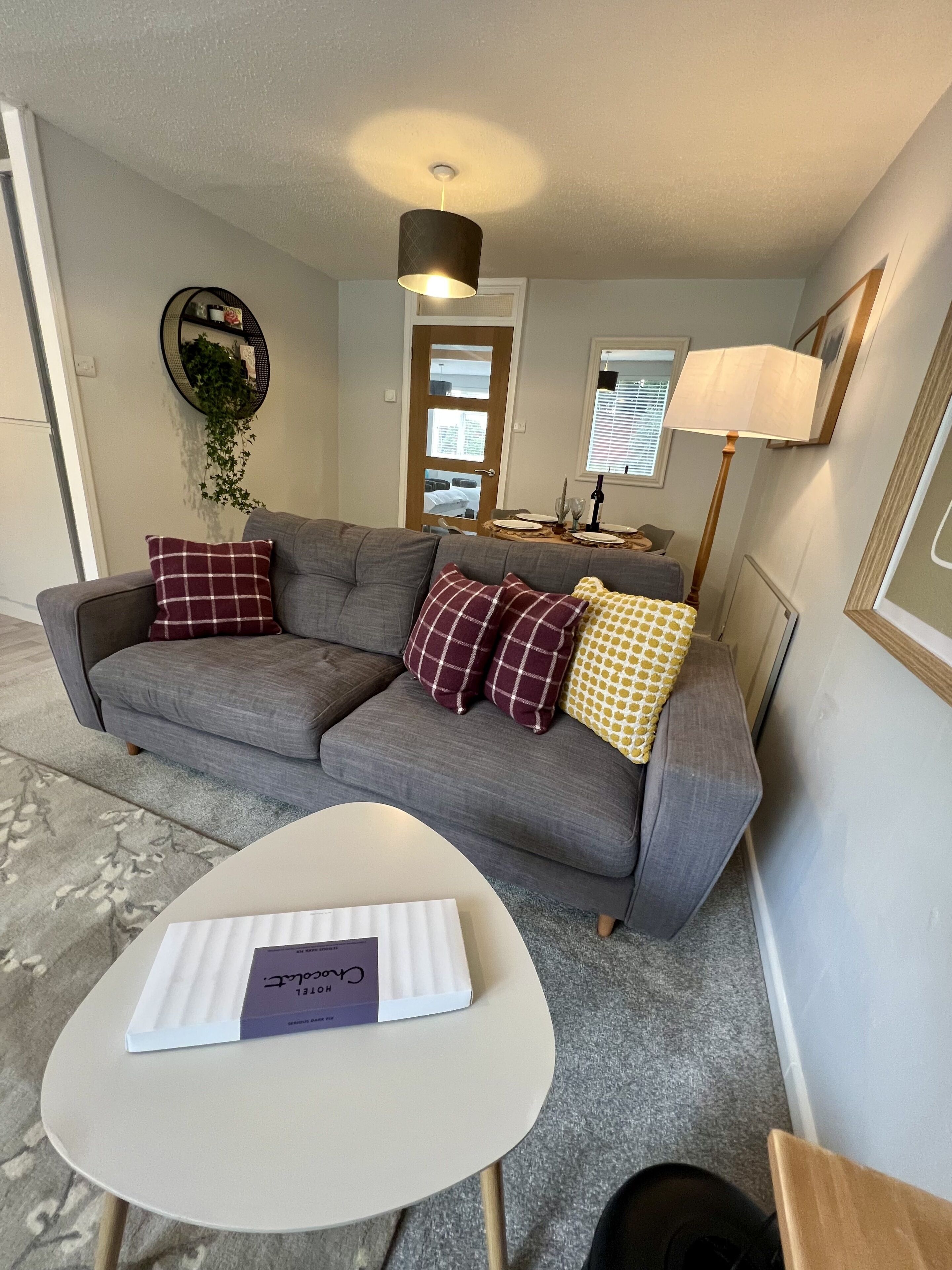 A living room with a grey sofa, two plaid pillows, a small white table with a box, a hanging plant, a lamp, and a door with a window.