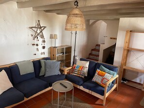 TV connectée, cheminée, livres, chaîne hi-fi