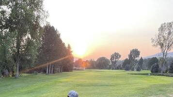 A person playing golf on a well-maintained course with trees and a clear sky.