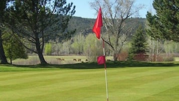 Golf
