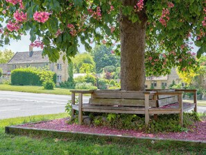 A bench under a tree with pink flowers, a stone building in the background, and a grassy area.