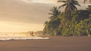 A beach with palm trees and people in the distance. - Casa Hacienda Jaguar (Ciudad Cortés)