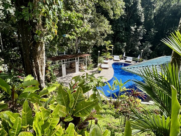 Outdoor pool - Romantic Bungalow nestle in the jungle- 5mints from Manuel Antonio National Park (Quepos)