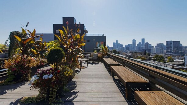 A rooftop terrace with wooden benches and a city skyline in the background.
