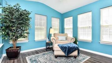 TV, lareira, videogames, livros