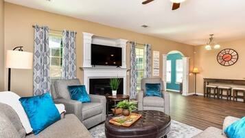 TV, fireplace, video games, books